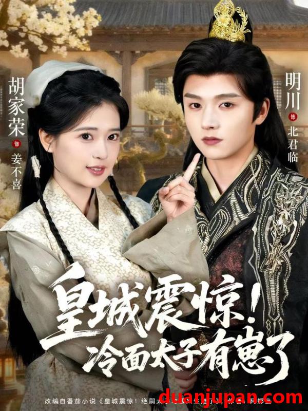 短剧 皇城震惊冷面太子有崽了（105集）