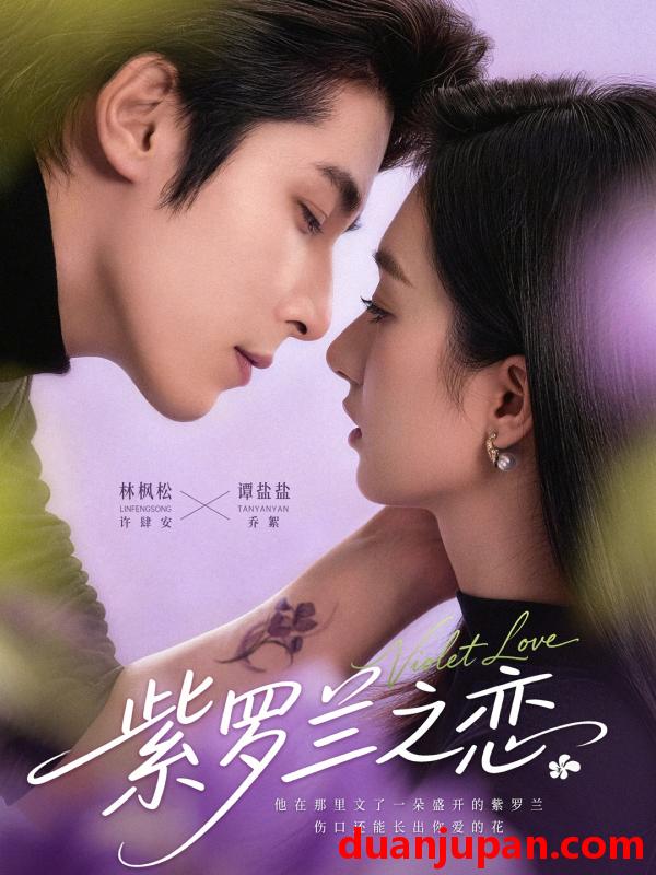 短剧 紫罗兰之恋（82集）谭盐盐&林枫松