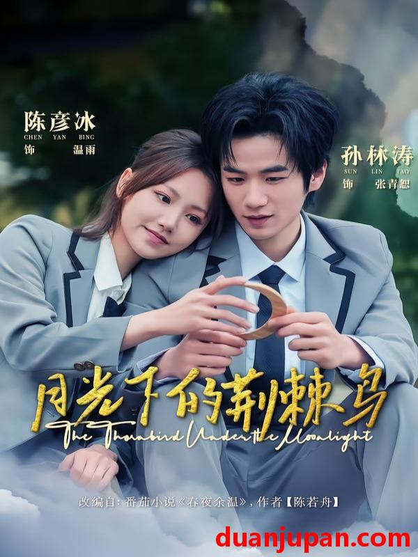 短剧 月光下的荆棘鸟（80集）陈彦冰＆孙林涛