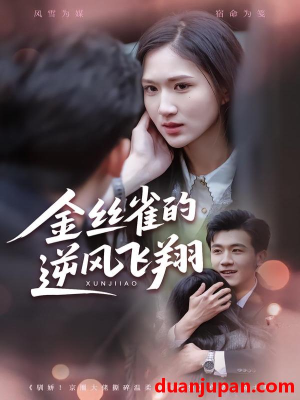 短剧 金丝雀的逆风飞翔（80集）廖帕姿&曹润辉