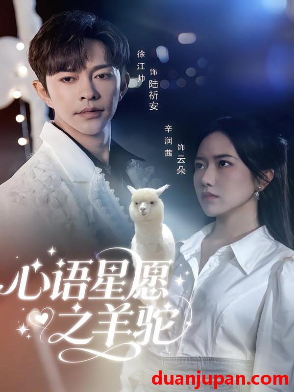 短剧 心语星愿之羊驼（60集）徐江帅＆辛润茜