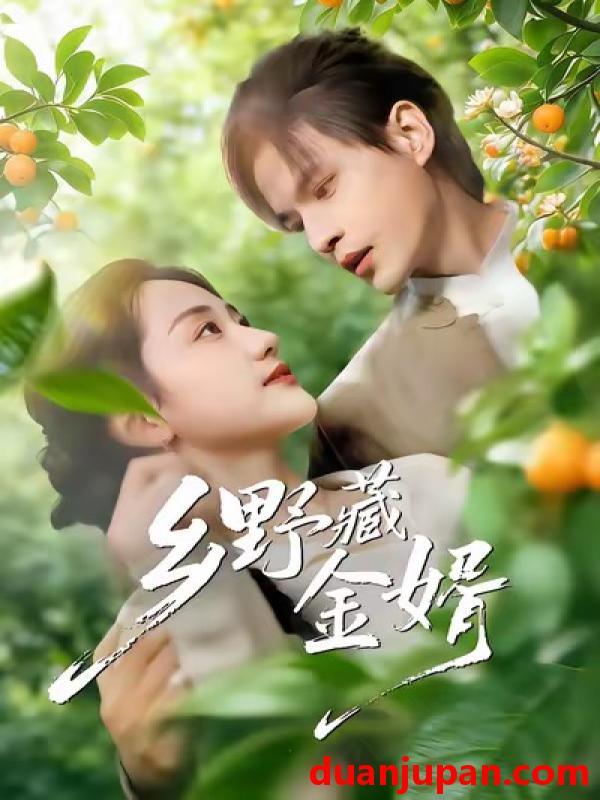 短剧 乡野藏金婿（50集）冯琳玲＆吴杰