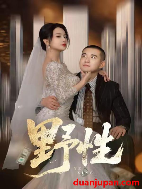 短剧 野性＆分手后顶头上司要嫁我（70集）阎论＆梦露