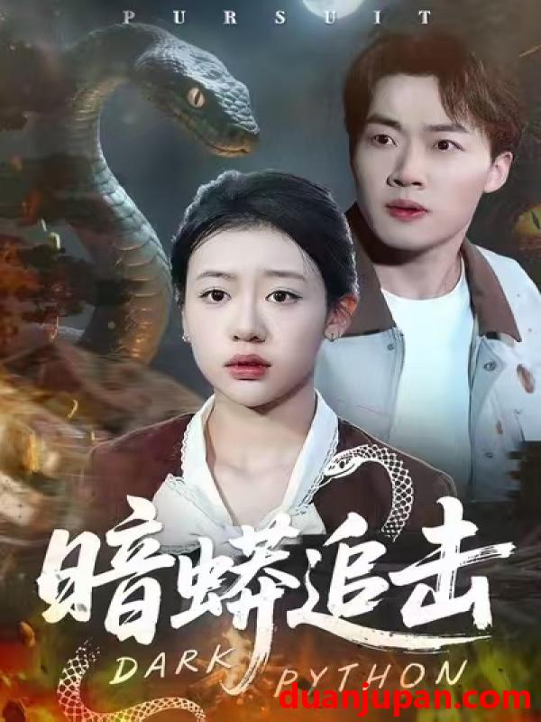 短剧 暗蟒追击（35集）王盈心＆赵文硕