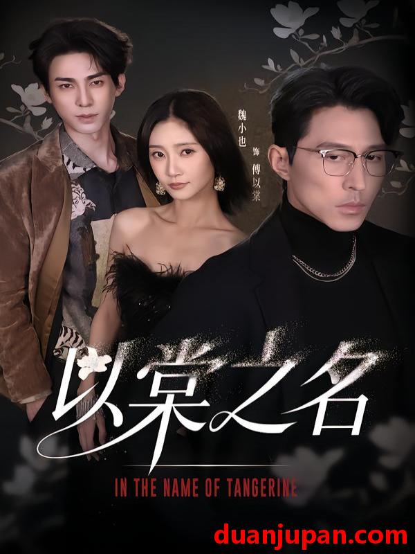 短剧 以棠之名（66集）魏小也&冯文栋