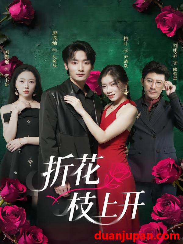 短剧 折花枝上开（51集）唐龙灿＆柏叶