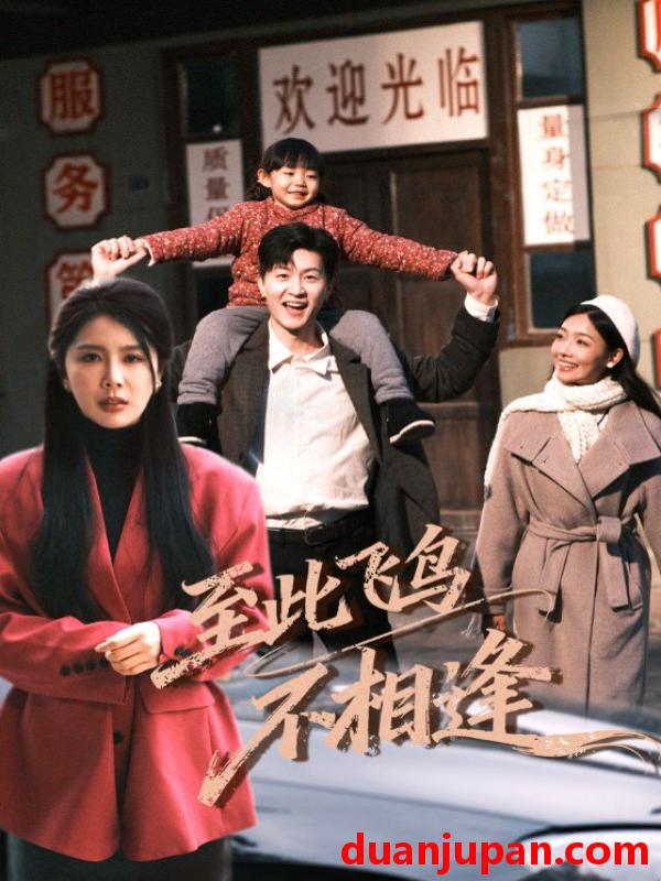 短剧 至此飞鸟不相逢（70集）丁海霞&王鹏