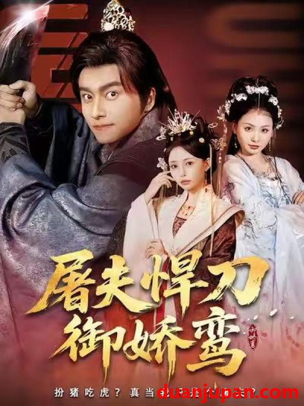 短剧 屠夫悍刀御娇鸾（81集）王振＆苏凝