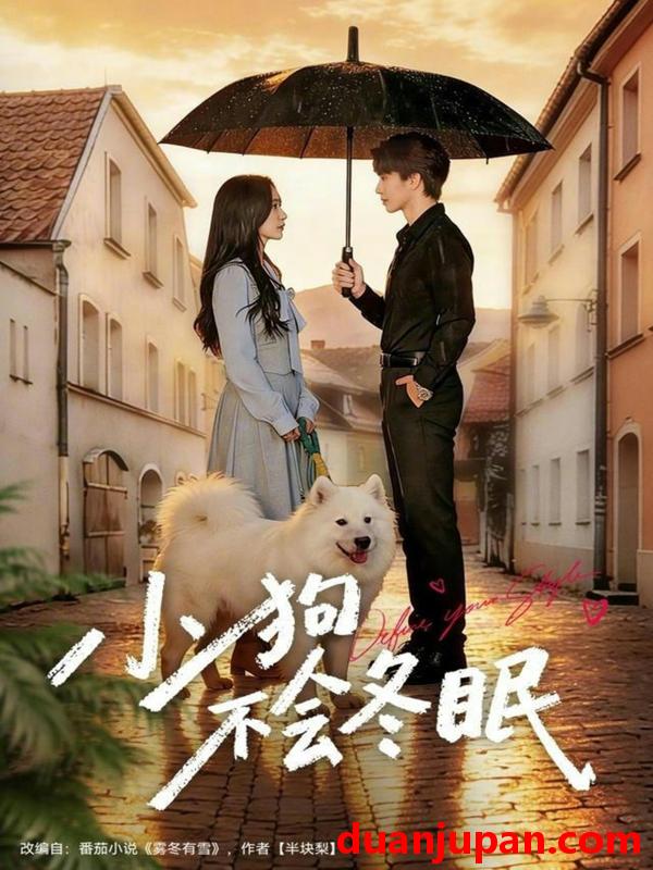 短剧 小狗不会冬眠（70集）张皓文＆乔槿