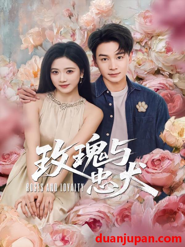 短剧 玫瑰与忠犬（80集）范高坡＆雯婕