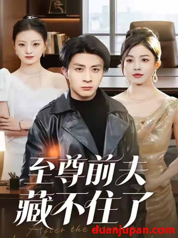 短剧 至尊前夫藏不住了（70集）椿添&孙军