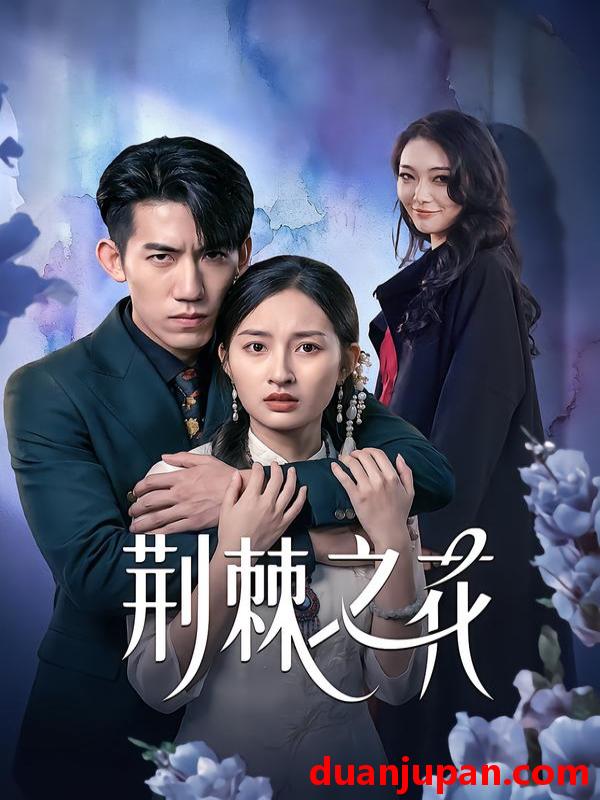 短剧 荆棘之花（100集）杨可忻&范哲宇