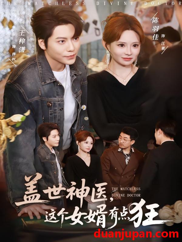 短剧 盖世神医，这个女婿有点狂&盖世神医这个女婿有点狂（81集）