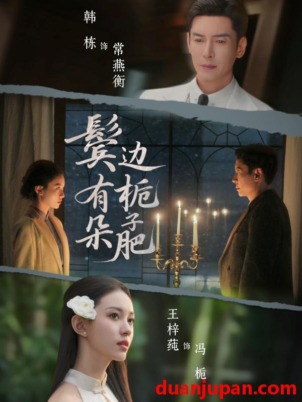 短剧 鬓边有朵栀子肥（72集）韩栋&王梓莼