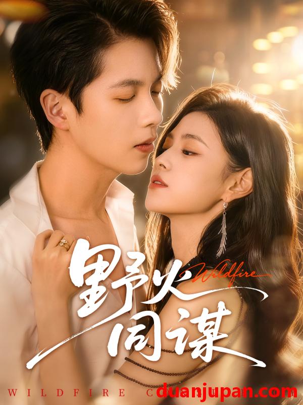 短剧 野火同谋（66集）