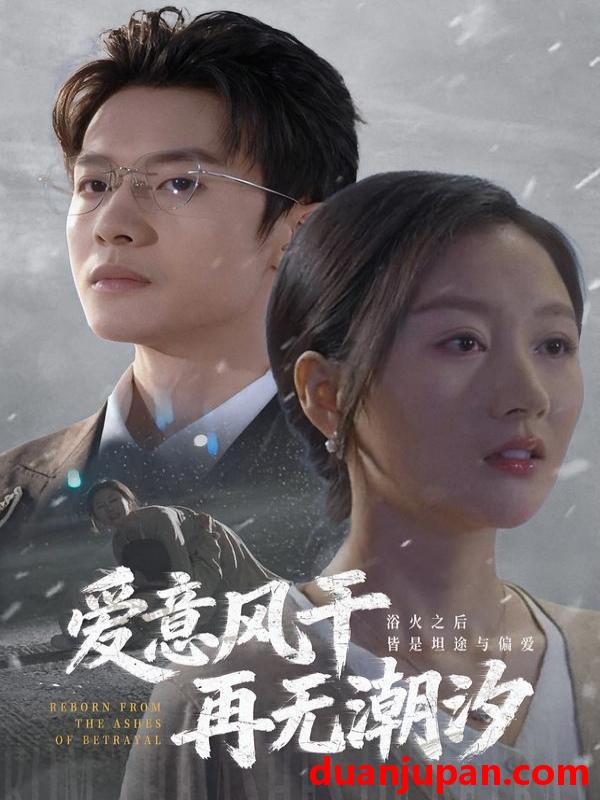 短剧 爱意风干再无潮汐（69集）程汁&魏梦迪&蔡长源