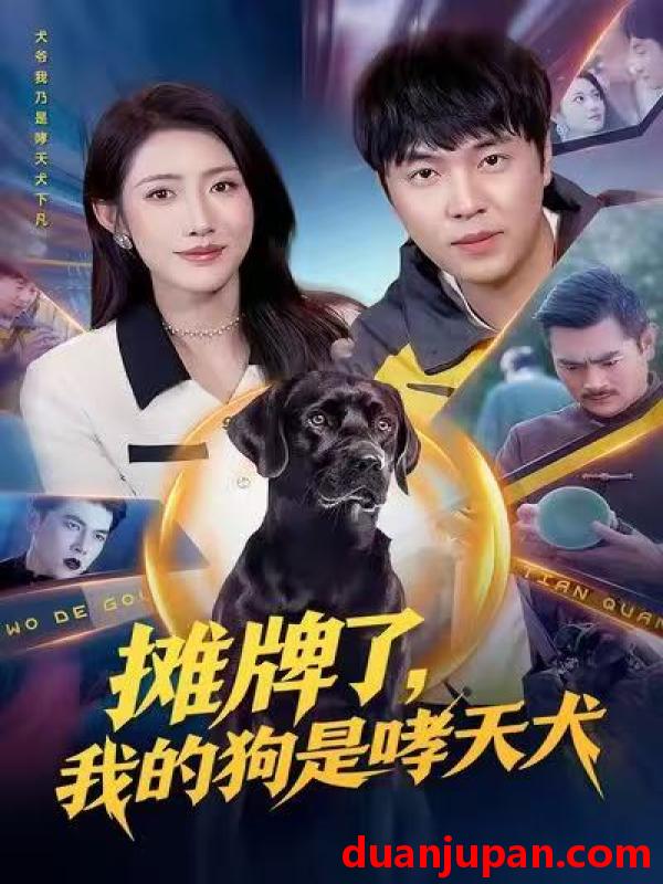 短剧 摊牌了，我的狗是哮天犬&摊牌了我的狗是哮天犬（98集）刘晨宇&张如意