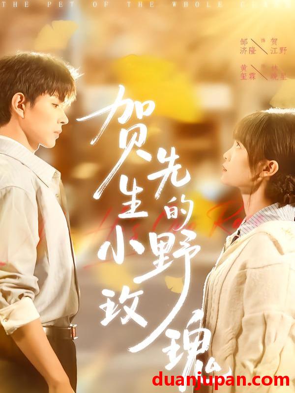 短剧 贺先生的小野玫瑰（99集）