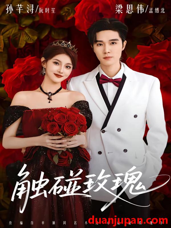 短剧 触碰玫瑰＆凌晨四点半，玫瑰花未眠&触碰玫瑰＆凌晨四点半玫瑰花未眠（80集）梁思伟＆孙芊浔