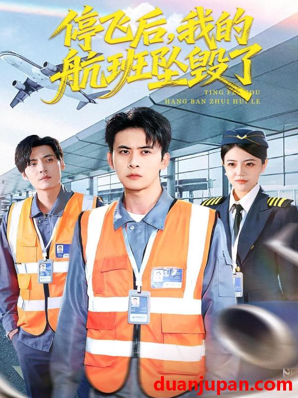 短剧 停飞后，我的航班坠毁了&停飞后我的航班坠毁了（100集）刘渝展＆李宣锦