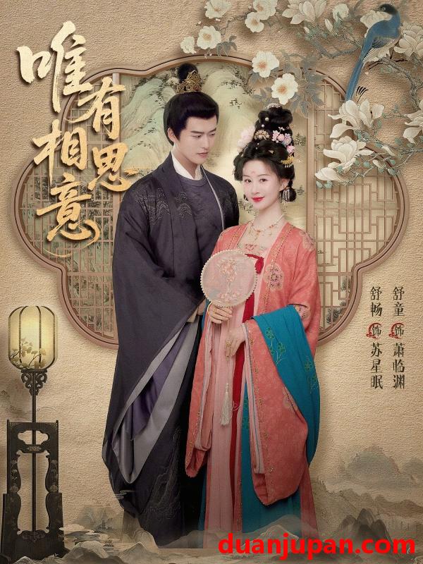 短剧 唯有相思意（100集）舒畅＆舒童