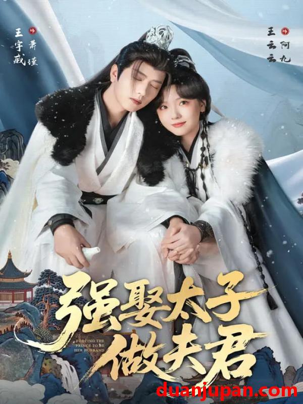 短剧 强娶太子做夫君（67集）王宇威＆王云云