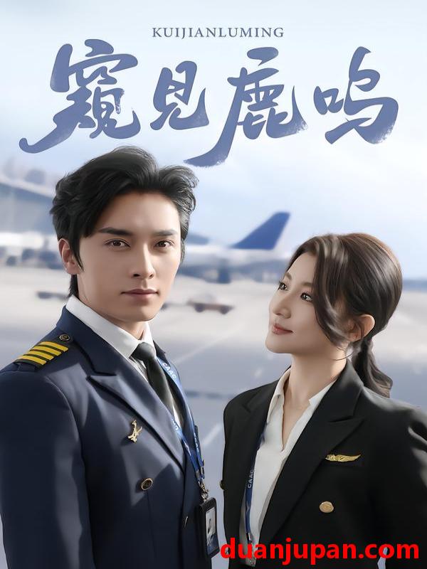 短剧 窥见鹿鸣（60集）王博＆王如玮