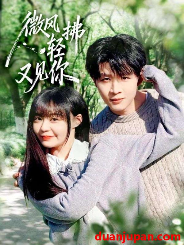 短剧 微风轻拂又见你（66集）王雨博&孙蔚琳