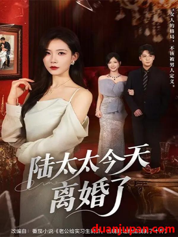 短剧 陆太太今天离婚了（59集）刘灿&丁敬一