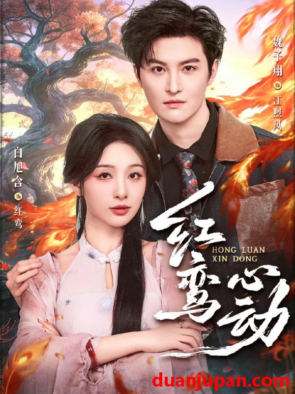 短剧 短剧《 红鸾心动（60集）魏子翔＆白旭含 》免费观看