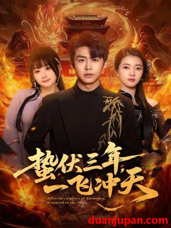 短剧 蛰伏三年，一飞冲天&蛰伏三年一飞冲天（60集）