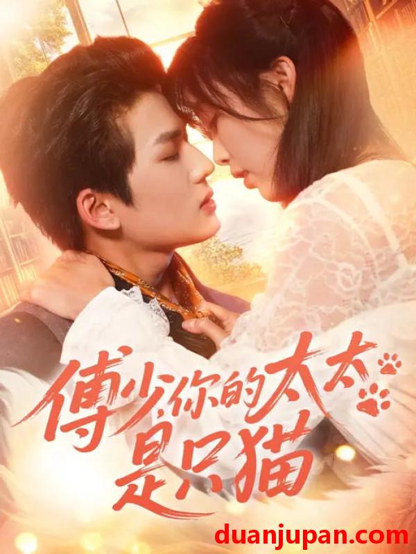 短剧 傅少，你的太太是只猫&傅少你的太太是只猫（64集）赵偲佟&向明