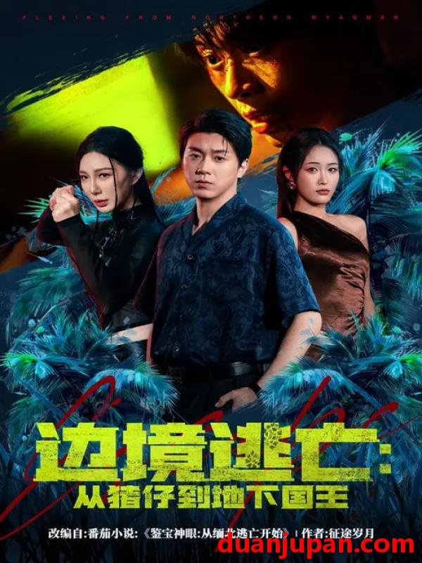 短剧 短剧《 边境逃亡：从猪仔到地下国王&边境逃亡从猪仔到地下国王（81集）刘洋珂&刘星辰 (2026) 》免费观看