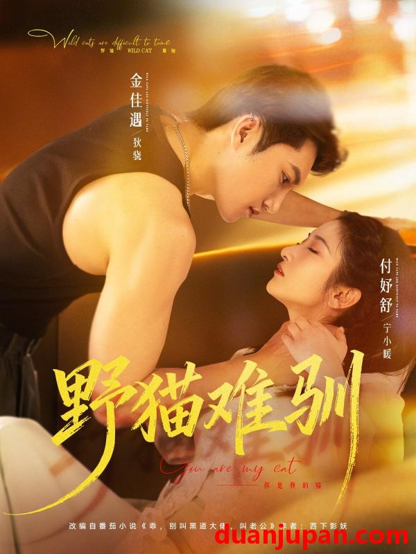 短剧 野猫难驯（73集）