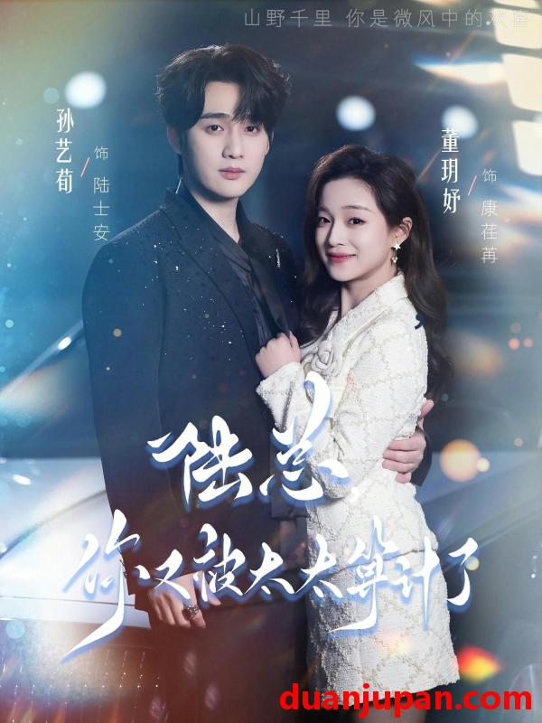 短剧 短剧《 陆总，你又被太太算计了&陆总你又被太太算计了（70集）孙艺荀＆董玥妤 (2026) 》免费观看