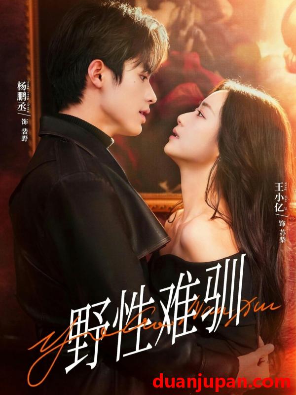 短剧 野性难驯＆驯野2（81集）杨鹏丞＆王小亿＆张旋＆刘宇航＆刘夕语