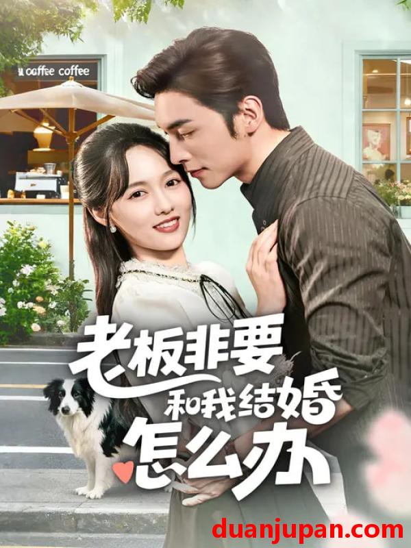 短剧 老板非要和我结婚怎么办（50集）王博&李媛菁