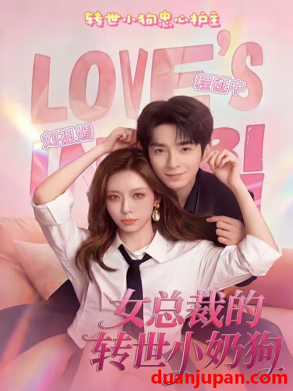 短剧 短剧《 女总裁的转世小奶狗（30集）程钲中＆刘祖嫣 》免费观看