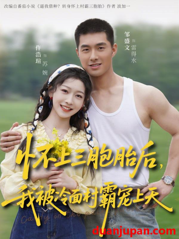 短剧 短剧《 怀上三胞胎后，我被冷面村霸宠上天&怀上三胞胎后我被冷面村霸宠上天（72集）邹盛文＆仵浩瑄 (2026) 》免费观看