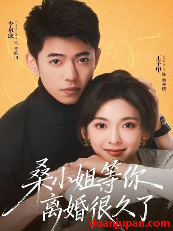 短剧 短剧《 桑小姐等你离婚很久了（70集）李泉成＆王子甲 》免费观看