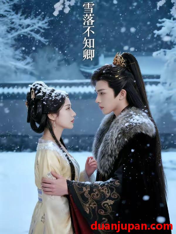 短剧 短剧《 雪落不知卿（62集）Ai短剧 》免费观看