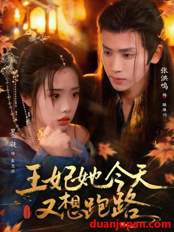 短剧 短剧《 王妃她今天又想跑路（62集）张洪鸣＆墨凝 》免费观看