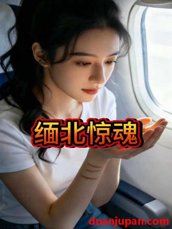 短剧 短剧《 缅北惊魂（29集）Ai短剧 》免费观看